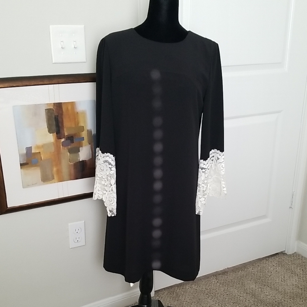 Elegant Black Dress with Lace Sleeves